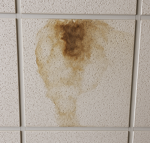 Commercial cost-to-cure estimating service