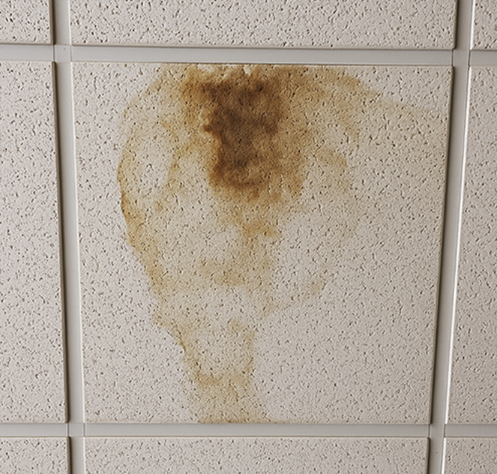 Government Building Inspections Texas