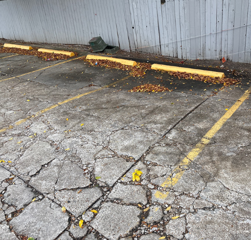 Government Capital Planning Texas